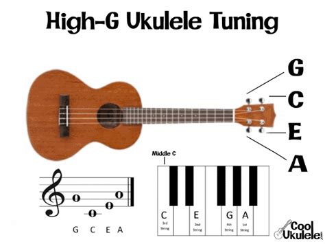 Ukulele Tuning: Types And How-to Guide Orchestra Central