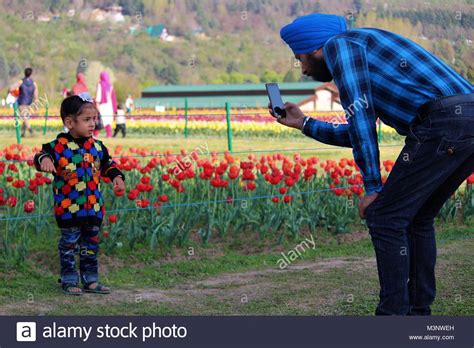 Kashmir's Tulip Garden is Open Now! call +917006970151 For Discounted ...