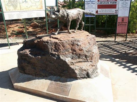 To visit the Red Dog Statue in W.A Gorgeous Movie, Australian Kelpie ...