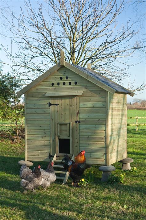 Flyte So Fancy: Hen Houses for Larger Flocks