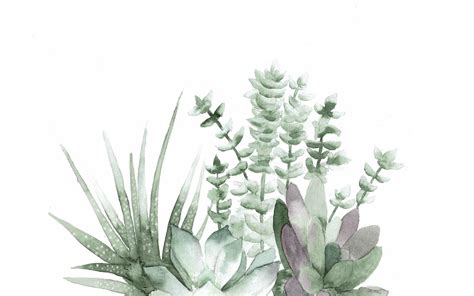 Desktop Succulents Wallpapers - Wallpaper Cave