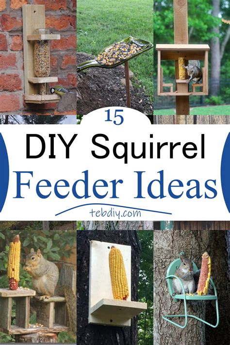 15 Cheap And Easy DIY Squirrel Feeder Ideas - Teb DIY