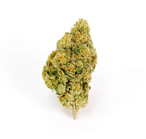 Horchata Seeds - Sooner Products