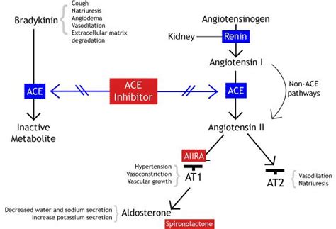 ACE Inhibitors - Renal - Medbullets Step 1