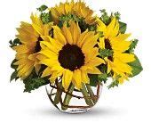 21 Best Sunflowers in vase ideas | flower arrangements, floral ...