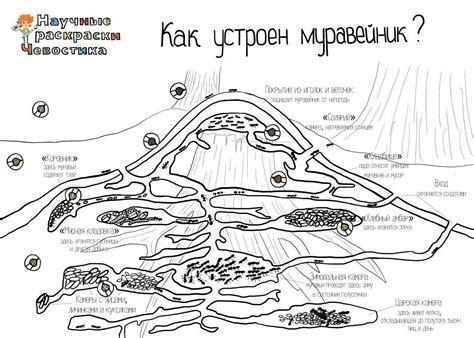 Обучалки и развивалки для детей — Разное | OK.RU | Обучение детей, Уроки биологии, Обучение