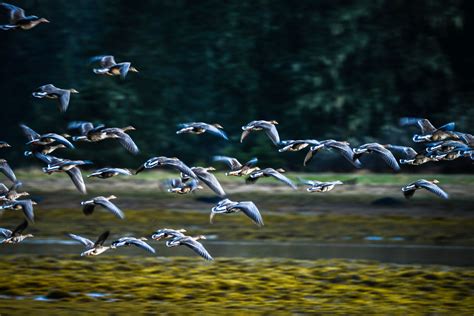 Alaska's Fish Tales Lodge