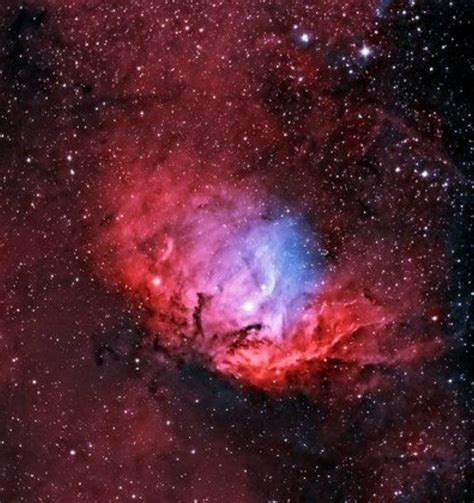 The Tulip Nebula, a bright emission nebula | Anne’s Astronomy News