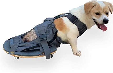 derYEP Pet Scooter Wheelchair for Rear Legs paralyzed Dog Protects Chest and Limbs | Dog ...