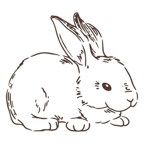 a drawing of a rabbit sitting on the ground with its head turned to the ...