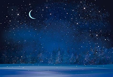 Buy Yeele 6x4ft Winter Night Snowfall Snowflake Photography Backdrops ...