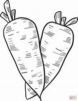 Carrot Coloring Pages  Cool sketch template