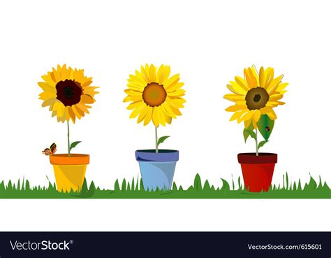 Sunflower border Royalty Free Vector Image - VectorStock