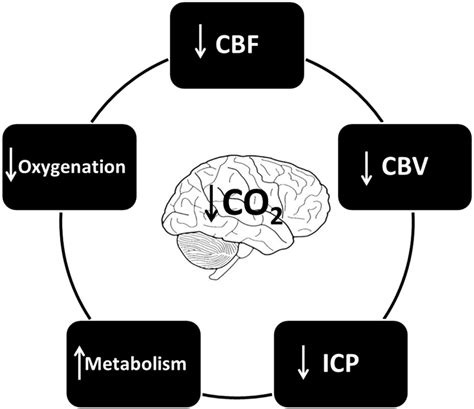 | The cerebral effects of hypocapnia. | Download Scientific Diagram