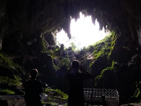 Sarawak rainforest cycling tour, Borneo | Responsible Travel