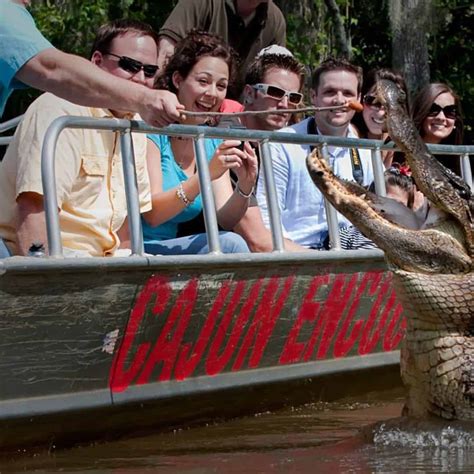 Honey Island Swamp Boat Tour With Optional Transportation from New Orleans - TripShock!