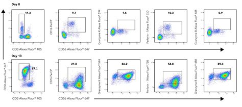 Intracellular NK Cell Activation Flow Cytometry Panel: R&D Systems