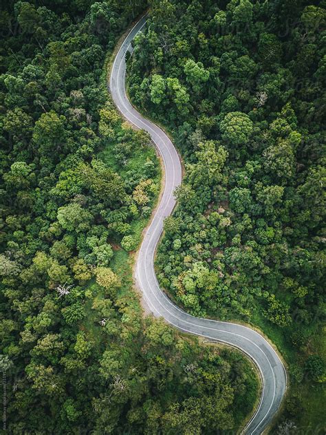 "Forest Road From Above" by Stocksy Contributor "Alex Spurway" - Stocksy