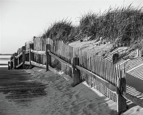 Sand Fence Photograph by Dave Cleaveland | Fine Art America