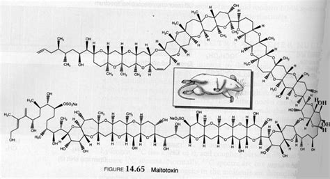 Sciencemadness Discussion Board - Aesthetically Pleasing Organic ...