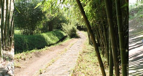 Vinh Moc Tunnels – A Famous Historical Relic in Vietnam