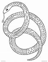 Snake Coloring Pages Garter Page Beautiful 649 Best  sketch template
