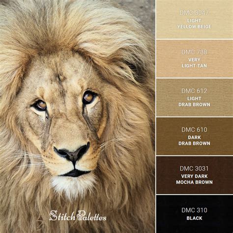 Lion's Face - Embroidery Color Palette (With Thread Codes)