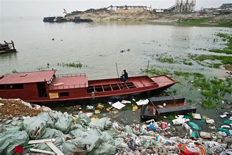 Water pollution - River Dolphins