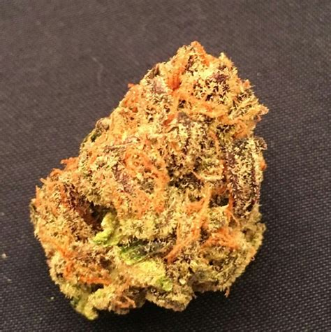 Dosidos aka Dosi, Do-Si-Dos Weed Strain Information | Leafly