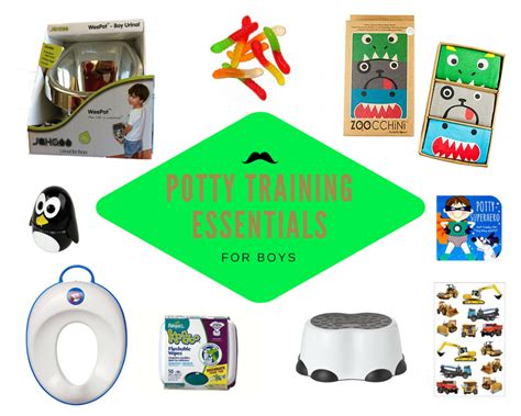 Potty Training Essentials for Boys