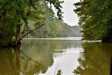 San Jacinto River at Its Finest: Nature the Way It Was Meant to Be - Reduce Flooding