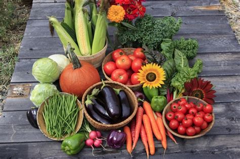 A Peek Inside Organic Vegetable Seeds: Great Taste, Yield and Ease of Growth - Sherlocks.com.au Blog