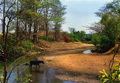 Ajodhya Hills - A Hidden Gem in West Bengal