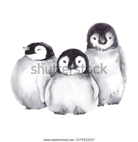 Cute Baby Penguins Winter Picture Penguins Stock Illustration ...