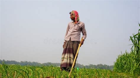 Farmers of Bangladesh are Working on Vast Agricultural Land. Rural ...