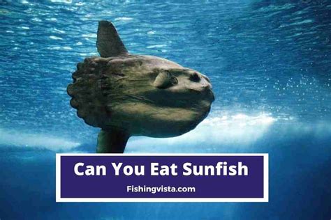 Can You Eat Sunfish? - FishingVista