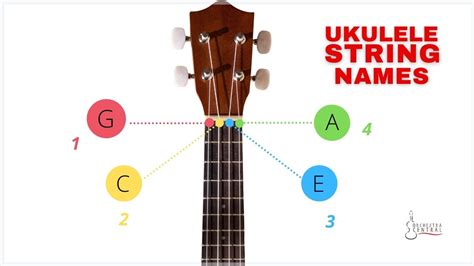 Guide to Ukulele String Names, Notes, and Numbers - Orchestra Central