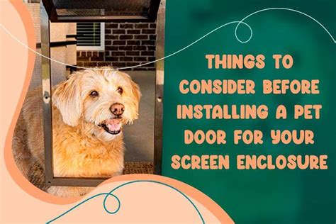 Things to Consider Before Installing a Pet Door for Your Screen Enclosure