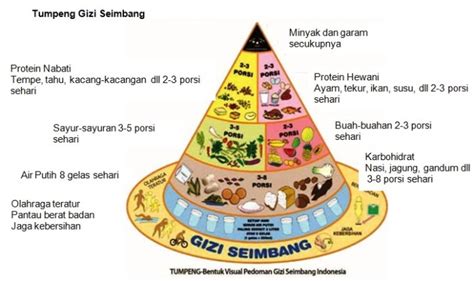 Contoh Menu Waktu Makanan Seimbang Untuk Sehari - HeavenanceKramer