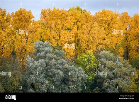 Fall colors in October Stock Photo - Alamy