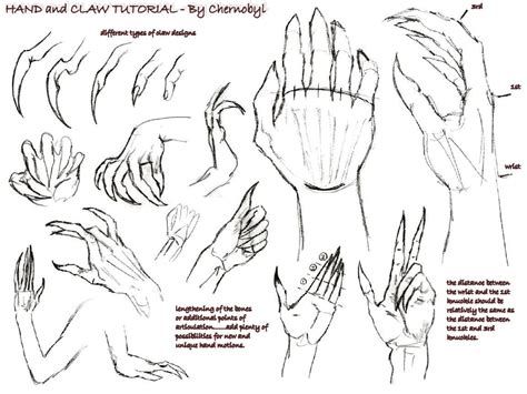 .: Hand+Claw Tutorial :. by Chernobylpets on DeviantArt