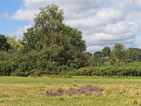 ipernity: Petersfield Heath, Hampshire - by Keith Burton