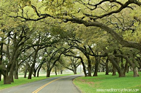 LBJ Ranch at Lyndon B Johnson National Historic Park ~ Stonewall, Texas - R We There Yet Mom?