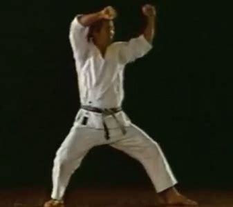 GC41MCR Shotokan Kata Series - Heian Nidan (Traditional Cache) in Dublin, Ireland created by ...