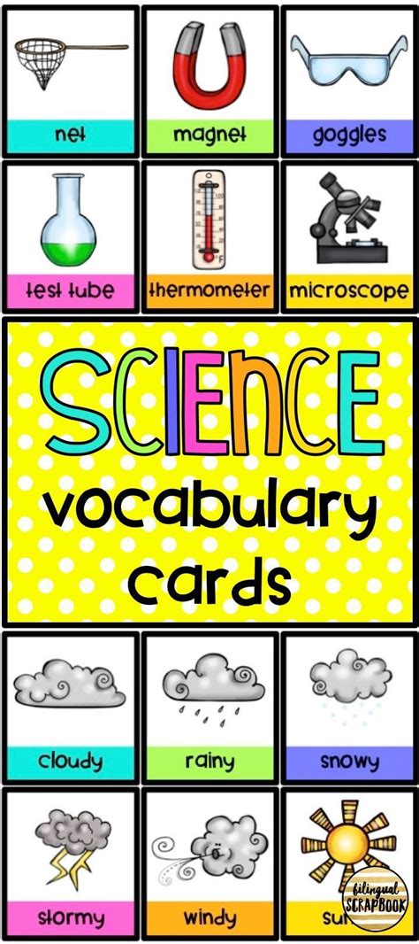 Science Vocabulary Cards | Science vocabulary, Vocabulary cards, Science