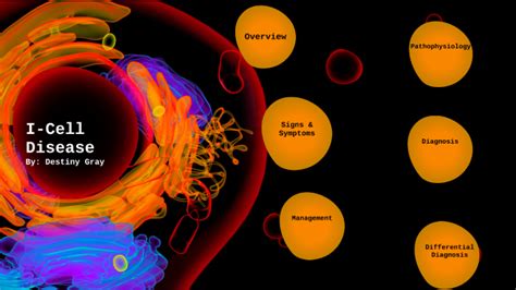 I-Cell Disease by Destiny Gray on Prezi