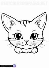 Cat face coloring Page  Free Printable Pages sketch template