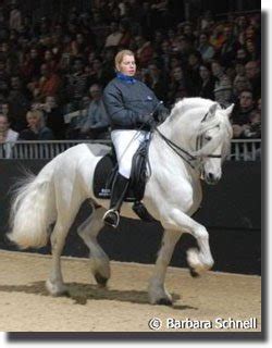 A Good Horse: A White Friesian?