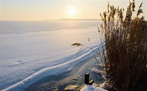 Wallpaper : winter, lake, snow, cover, Bushes, coast, dream 1920x1200 ...