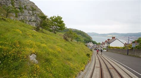 Great Orme Tramway - Tours and Activities | Expedia